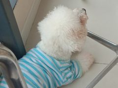 -怪兽屋·羊驼·猫咖·狗咖(俊华广场店)