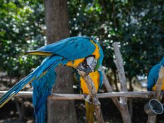 -杭州野生动物世界