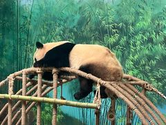 -杭州动物园