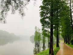 -南国桃园旅游度假区