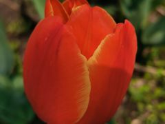 -长春公园(普阳街道)