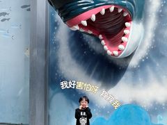 -海合安成都极地海洋公园