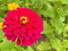 -野鸭湖国家湿地公园