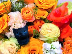 -植物学家的女儿(北马道巷店)