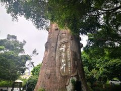-青青世界