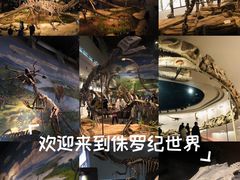 -自贡恐龙博物馆