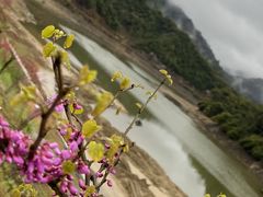 -婺源梦里老家大型山水实景演出