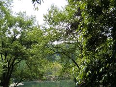 -忠山公园