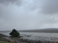 -深圳湾公园(南山区)
