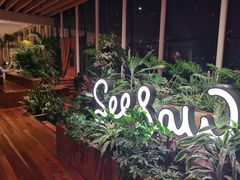 -Seesaw Coffee(朝阳大悦城店)