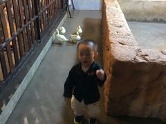 -昆明大悦城未来动物城(螺蛳湾中心店)
