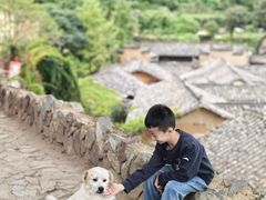 -杨家堂村