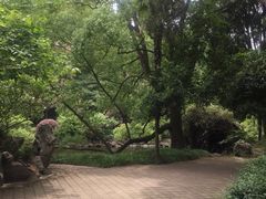 -叶家花园