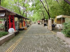 -泗洪洪泽湖湿地景区