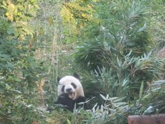 -中农国际动物医院24小时·猫科·骨科·急重症中心