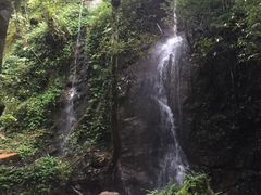 -龙岩森林水乡景区