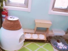 -纳吉亚猫专科动物医院博雅分院