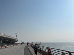 -演武大桥观景平台