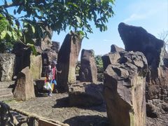 -海口火山口国家地质公园
