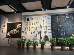 -自贡恐龙博物馆