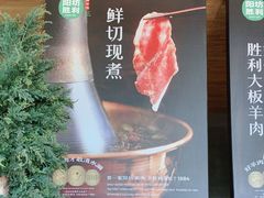 -阳坊胜利涮羊肉(阳坊老店)
