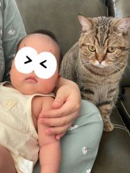 -月来悦好国际月子会所