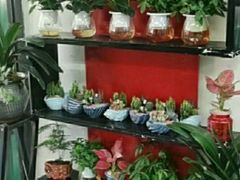 -循礼门鲜花花市(武汉循礼门店)