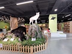 -青岛市图书馆