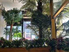 -原味四季椰子鸡(公明百佳华店)