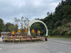 -婺源月亮湾