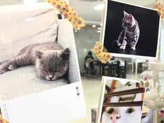 -iF摄影•全家福•证件照•形象照(南山店)