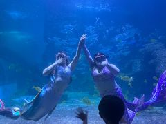 -左海海底世界
