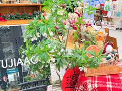-京北渔家傲