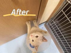 -萌兽医馆·犬猫专科·眼科中心·宠物医院(朝阳门分院)