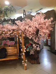 -童梦园主题乐园(天津泉汇购物广场店)