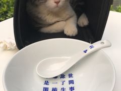 -禅泉冰粉(24城店)