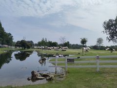 -夏河溪乡野公园
