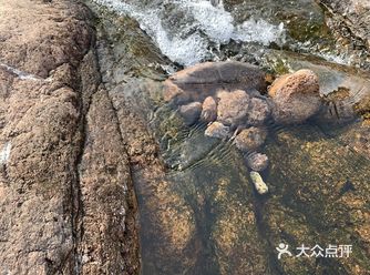 你活成了自己想成为的人了嘛
