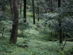 -南京珍珠泉风景区