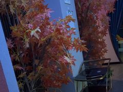 -瀚境SPA·影院足道·瑜伽按摩(景谷中路店)