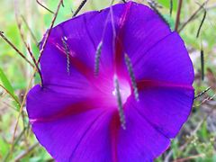 -菌之家·专业纯野生菌火锅·特色炒菌