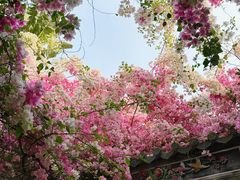 -深圳国际园林花卉博览园