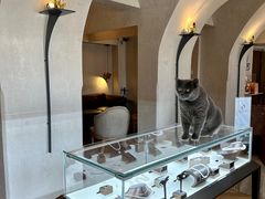 -Me Coffee下午茶艺术空间