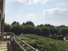 -杭州君悦酒店