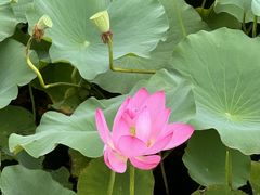 -羊亭河湿地公园