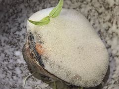 -1218 GRILL 主厨