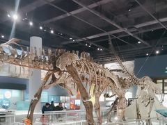 -国家自然博物馆