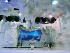 -华夏文旅海洋公园