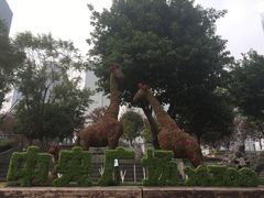 -重庆市江北嘴中央商务区中央公园