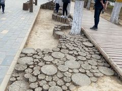 -回龙观体育文化公园